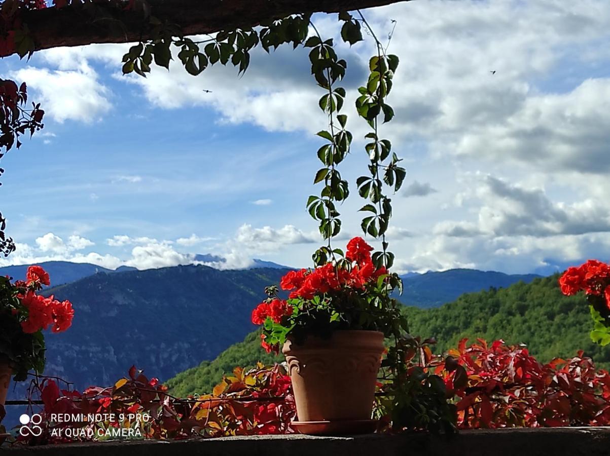 Casa Rural Vilaspasa, Alquiler Integro Gotarta Экстерьер фото